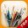 MyBrushes Pro: Paint and Draw