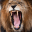 Lion Sounds 4.0.0