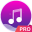 Music player - pro version