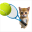 Cat Tennis Clash - 3D Tennis 1.2