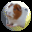 CaviesPro 2.3