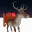 Rooftop Reindeer