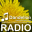 RADIO Dandelion