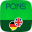 Dictionary German English PONS