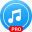 Music Player Pro