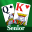 Solitaire: Big Card Games