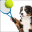 Dog Tennis - Fun Game 1.2