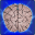 Brain Cracker Memory Game