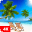 Tropical Wallpapers 4K