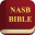 NASB Bible Holy Audio Version