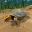 Box Turtle Simulator