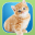 InstaKitty - A Funny Photo Booth Editor with Cute Kittens and Cool Cat Stickers for Your Pictures 1.1