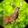 Deer Hunter 2023 : Marksman 2.1.2