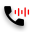 Call Recorder: Auto Transcribe