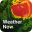 Weather Now Launcher - Radar 1.1.34