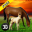 Wildlife: Horse Survival Simulator 3D