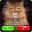 Fake Video Call Cat