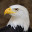 Eagle Sounds and Ringtone 2.8