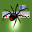 Black Widow - Spider Solitaire