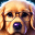 AI Avatar for Dogs - Floof AI