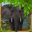 Wild Elephant Simulator 3D 2.0