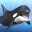 Orca  and marine mammals 1.1.3