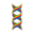 DNA Translator 1.1