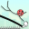 Mr Bounce: Ragdoll Physic game