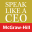 Speak Like a CEO (McGraw Hill)