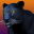 Deadly Black Panther - WIld Animal Simulator 3D